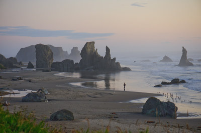 Oregon  Coast
