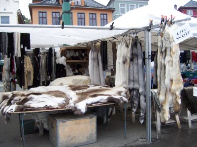 Various pelts