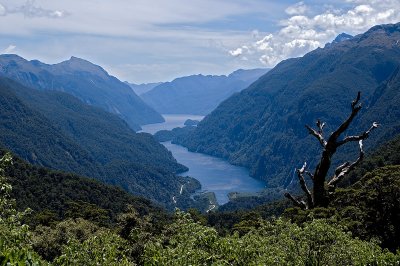 doubtful sound