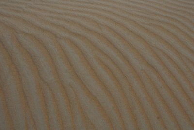 Patterns in the sand