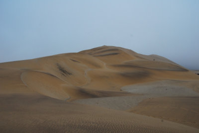 Dune number seven
