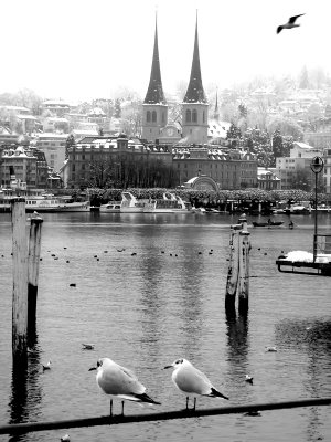 Luzern_Switzerland_180086.jpg