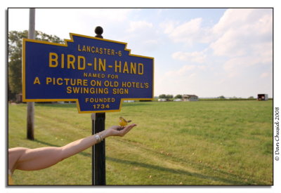 Bird-In-Hand