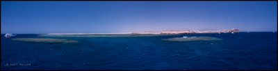Shark & Yolanda reef panorama