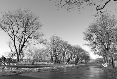Riverside Park after the rain