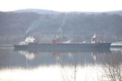 Brussel unloading coal on the Hudson