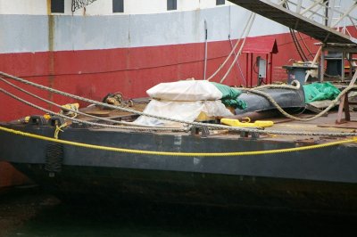 IMGP7960.JPG