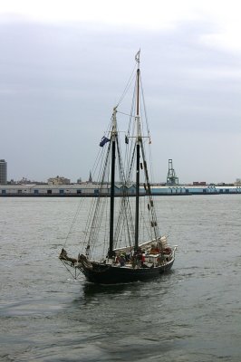 IMGP7970.JPG