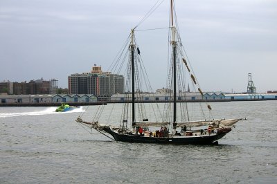 IMGP7972.JPG