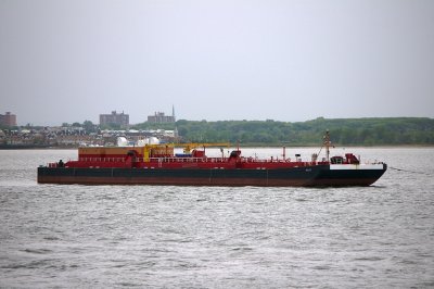 IMGP8002.JPG