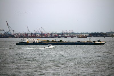 IMGP8003.JPG