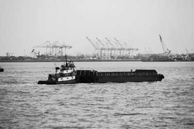 IMGP8005.JPG