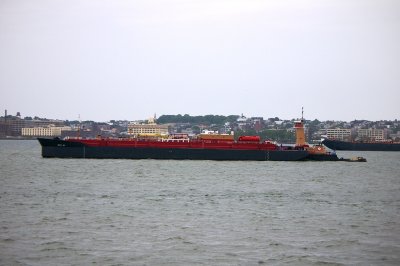 IMGP8007.JPG