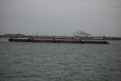 IMGP8010.JPG