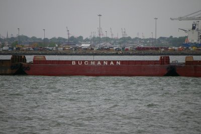 IMGP8011.JPG