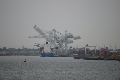 IMGP8013.JPG