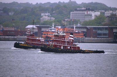 IMGP8021.JPG