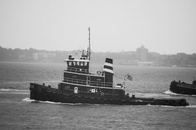 IMGP8026.JPG