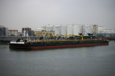 IMGP8054.JPG