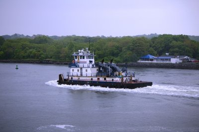 IMGP8059.JPG