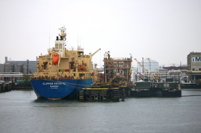 IMGP8060.JPG