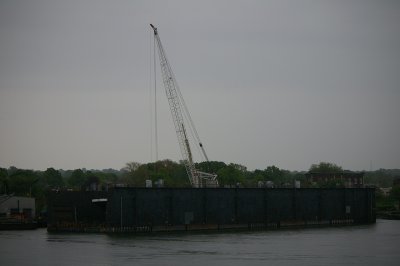 IMGP8065.JPG