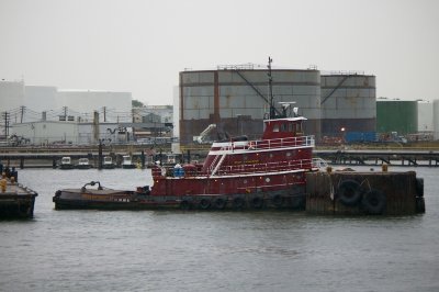 IMGP8066.JPG