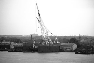 IMGP8078.JPG