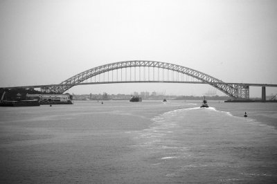 IMGP8080.JPG
