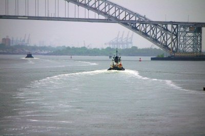 IMGP8081.JPG