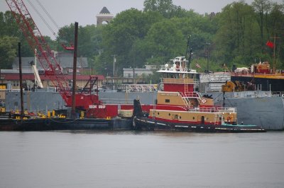IMGP8083.JPG