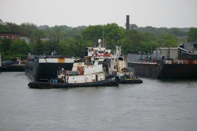 IMGP8093.JPG