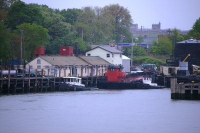 IMGP8098.JPG