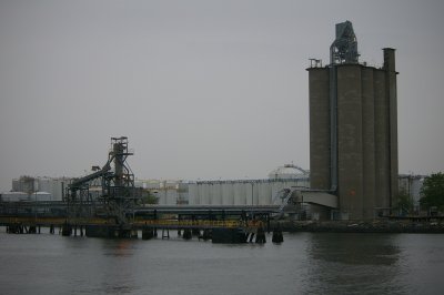 IMGP8100.JPG