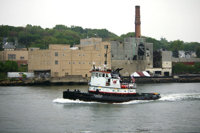 IMGP8104.JPG