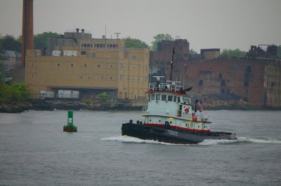 IMGP8106.JPG