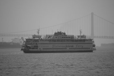IMGP8110.JPG