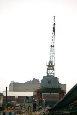 IMGP8115.JPG