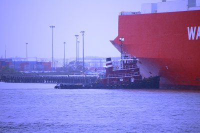 IMGP8124.JPG