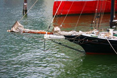 IMGP8149.JPG