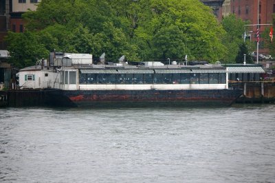 IMGP8168.JPG