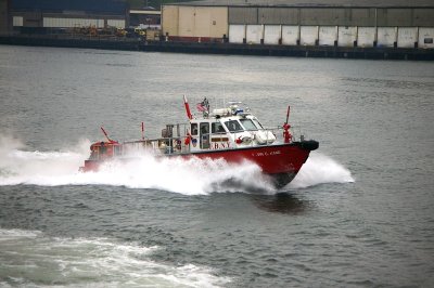 IMGP8180.JPG