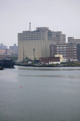 IMGP8193.JPG