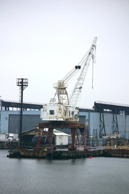 IMGP8195.JPG
