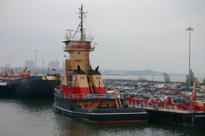 IMGP8273.JPG