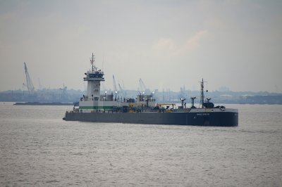 IMGP8292.JPG
