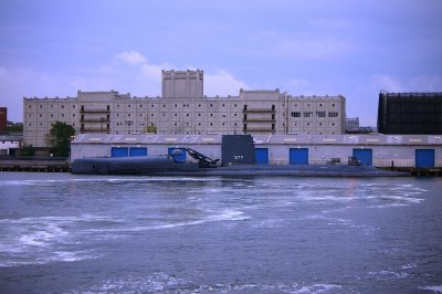 IMGP8344.JPG