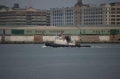 IMGP8351.JPG