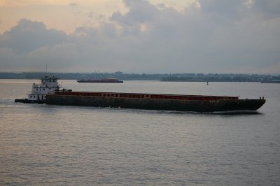 IMGP8353.JPG