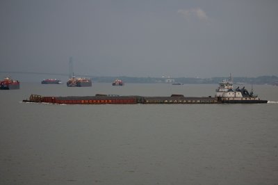 IMGP8360.JPG